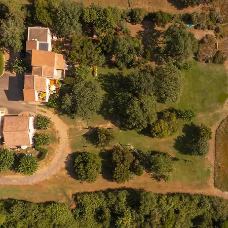 Scopa Marina * Poggio Mezzana