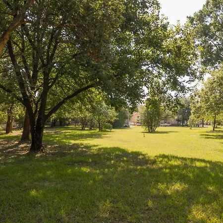 Scopa Marina Lejlighed Poggio Mezzana