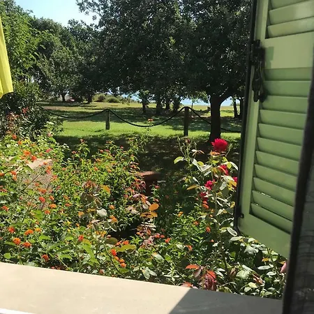 Scopa Marina Lejlighed