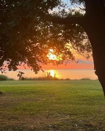 Scopa Marina Poggio Mezzana