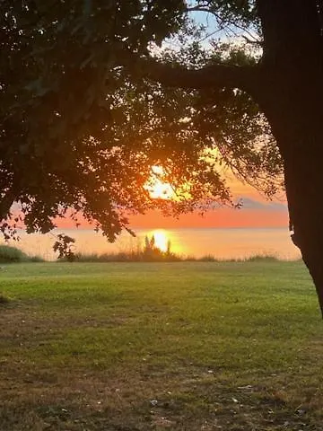 Scopa Marina Poggio Mezzana