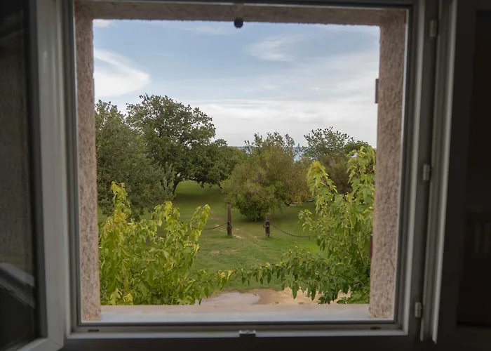 Scopa Marina Appartement